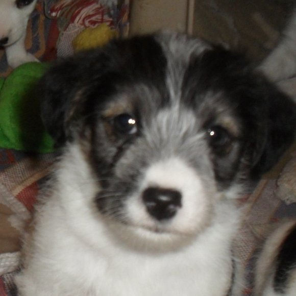 Thanks for shopping my closet!!! - Picture 8 of 16